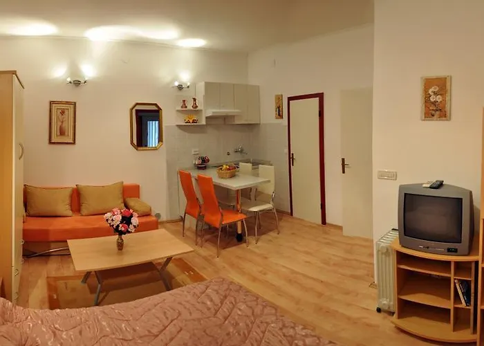 메이저 아파트먼트 아파트 *